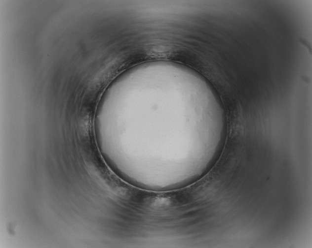 X0000103500647200809262014