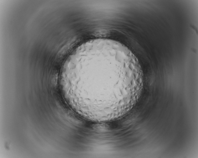 X0000103500652200809262014