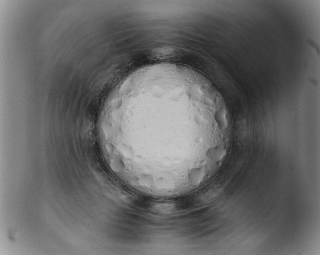 X0000103500653200809262014