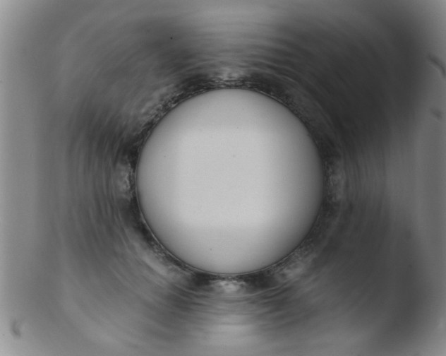 X0000103500654200809262014