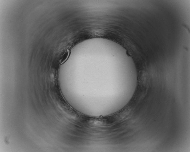 X0000103500655200809262014