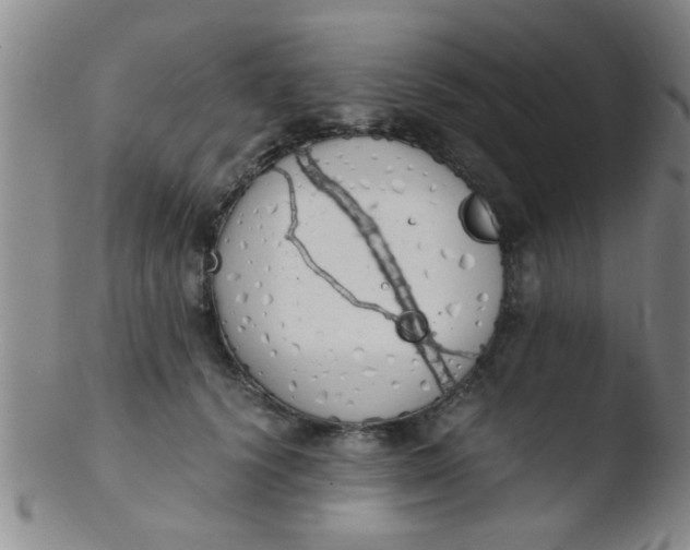 X0000103500656200809262014