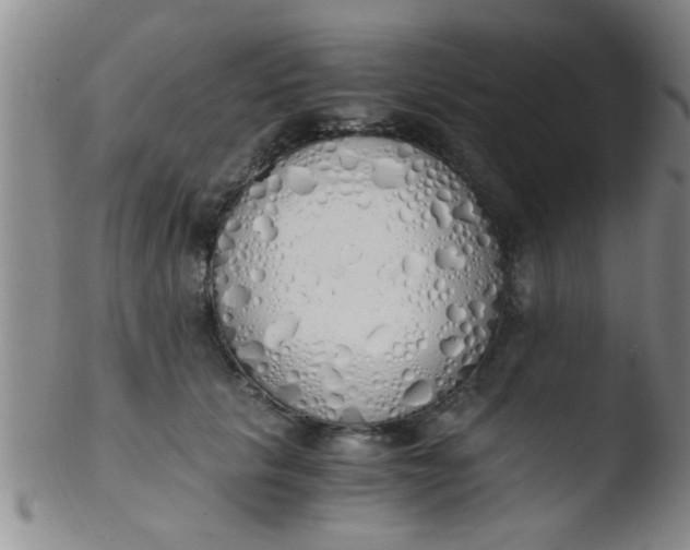 X0000103500657200809262014