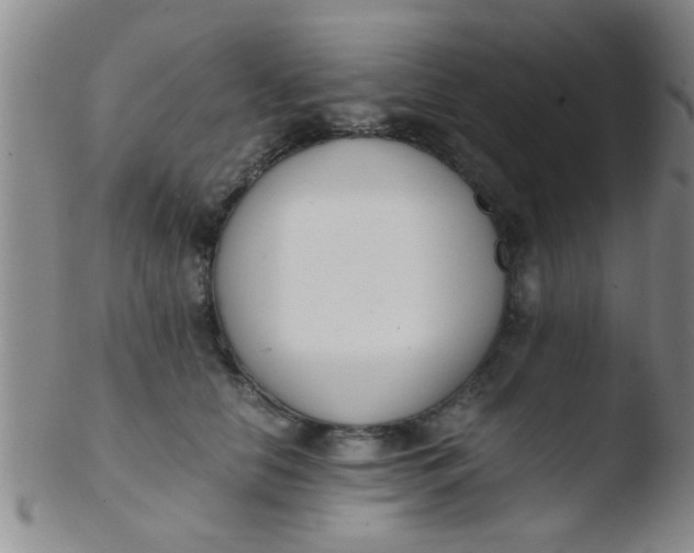 X0000103500658200809262014