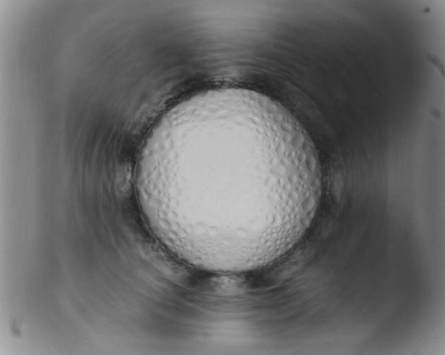 X0000103500660200809262014