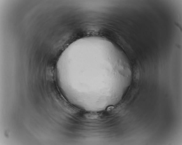 X0000103500661200809262014