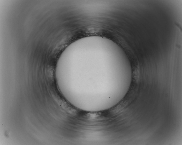 X0000103500662200809262015