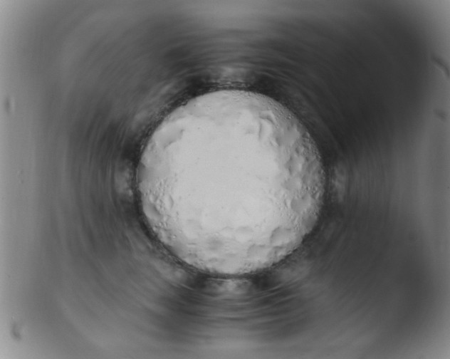 X0000103500663200809262015