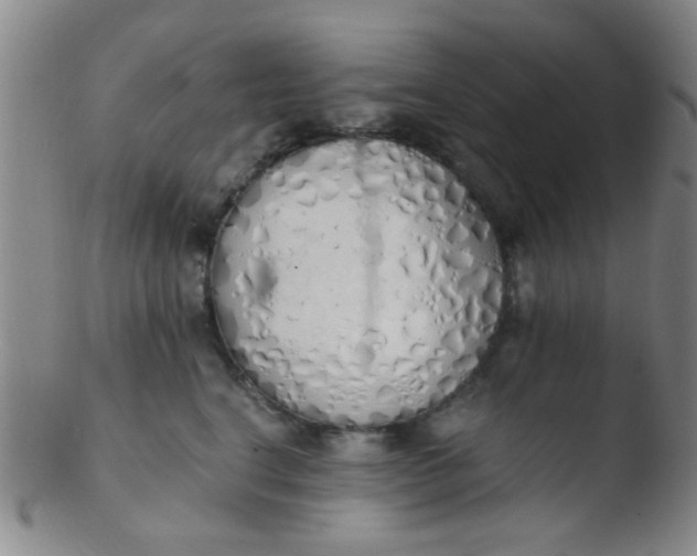 X0000103500664200809262015