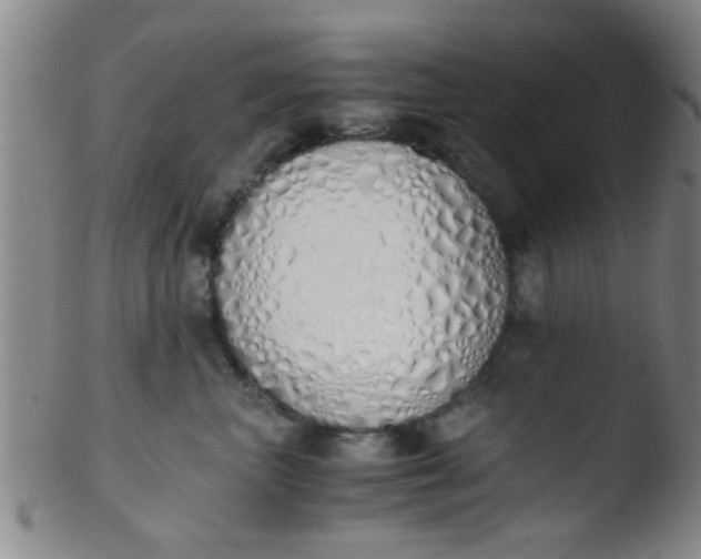 X0000103500667200809262015