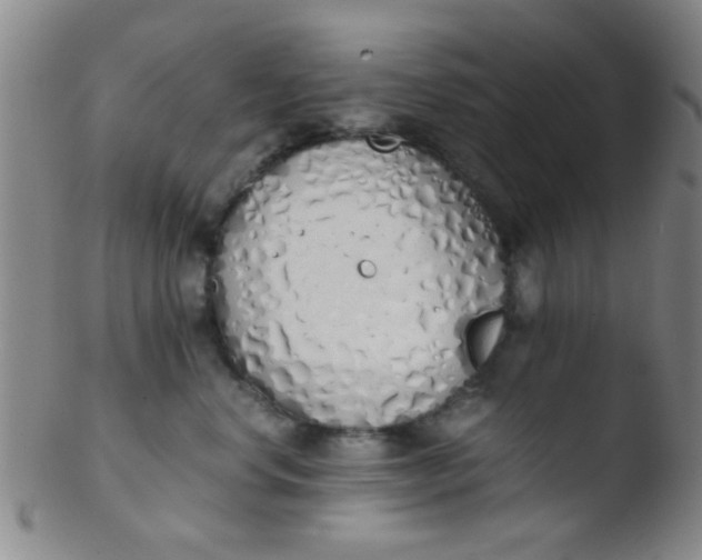 X0000103500668200809262015