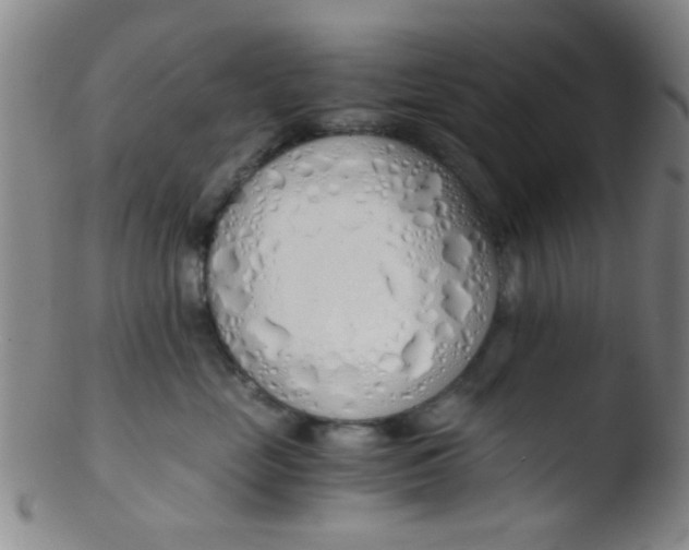 X0000103500669200809262015