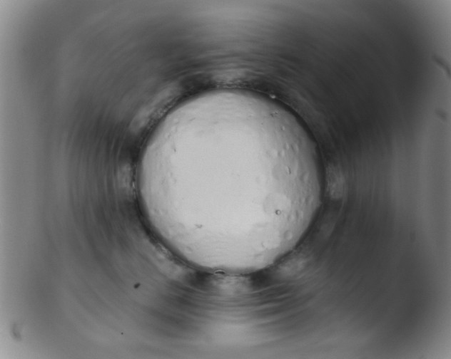 X0000103500670200809262015