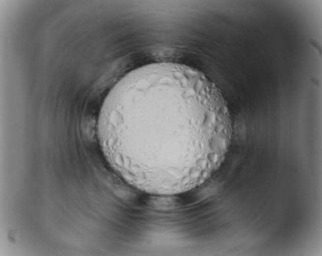 X0000103500671200809262015