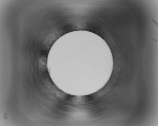 X0000103500672200809262015