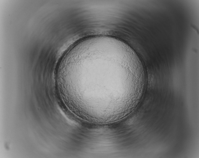 X0000103500674200809262014