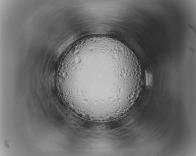 X0000103500675200809262014