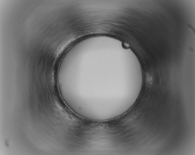 X0000103500676200809262014