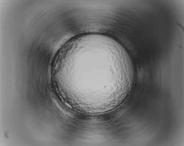 X0000103500678200809262014