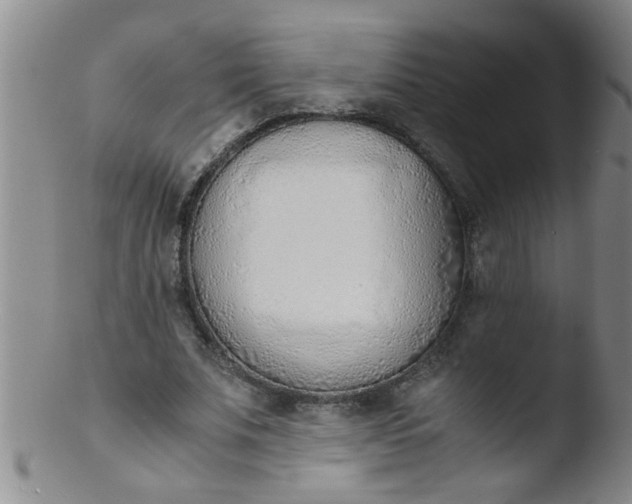 X0000103500679200809262014