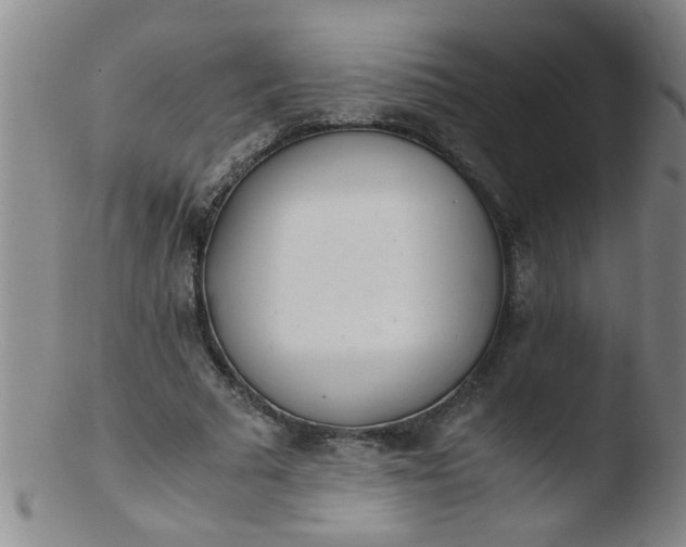 X0000103500681200809262014