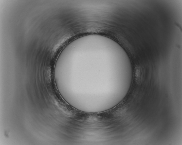 X0000103500684200809262014