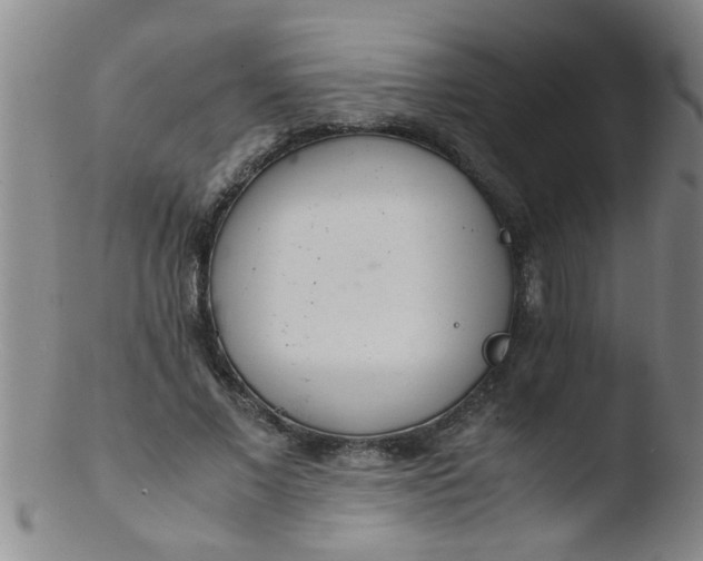 X0000103500685200809262014