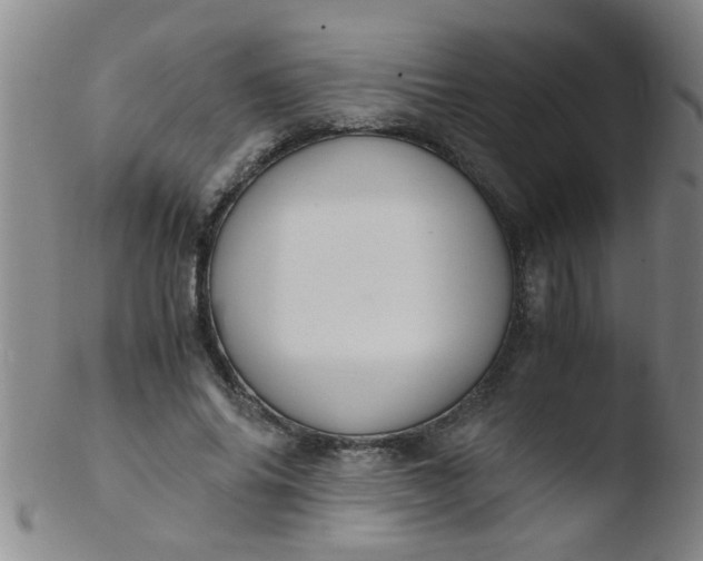 X0000103500686200809262014