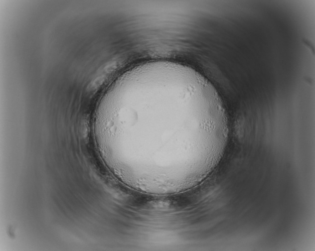 X0000103500687200809262014