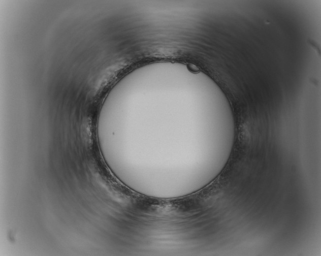 X0000103500688200809262014