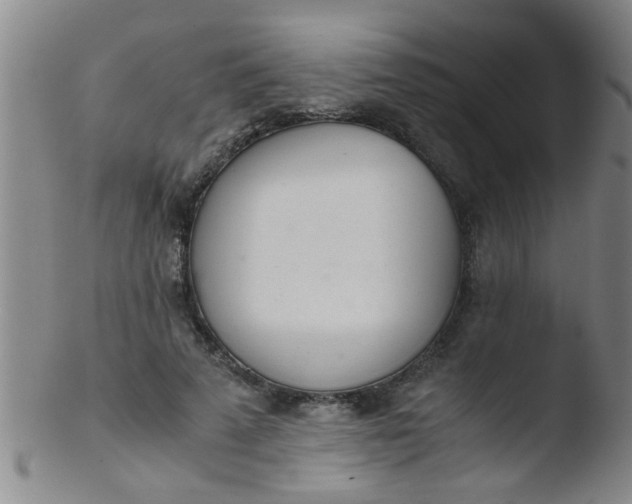 X0000103500689200809262014