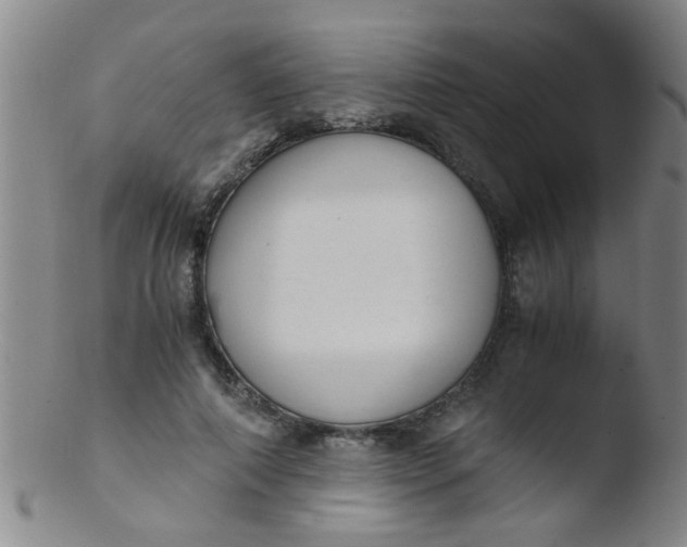 X0000103500690200809262014