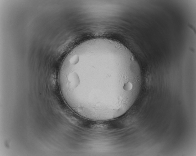 X0000103500691200809262014