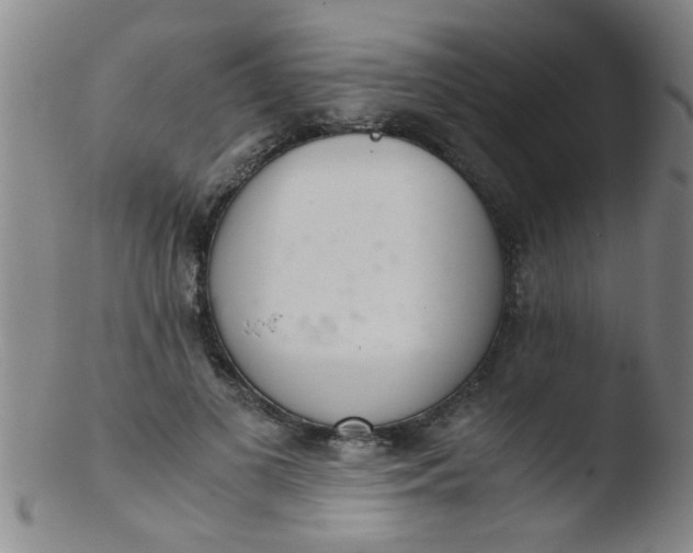 X0000103500693200809262014