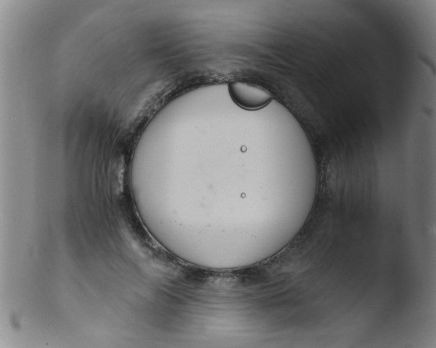 X0000103500694200809262014