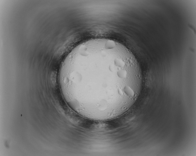 X0000103500695200809262014