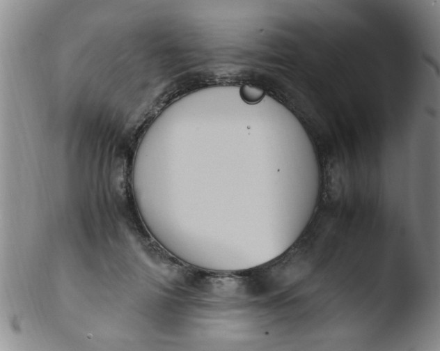 X0000103500698200809262014