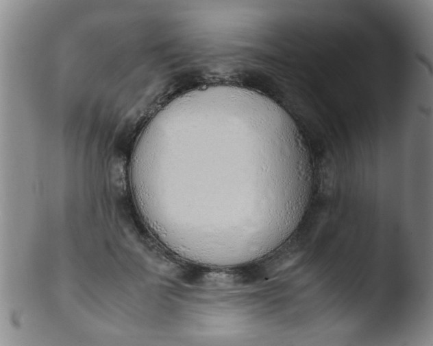 X0000103500699200809262014