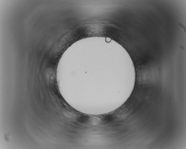 X0000103500701200809262014