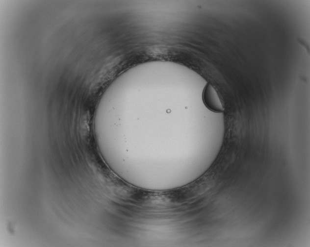 X0000103500702200809262014