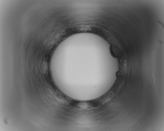 X0000103500704200809262014