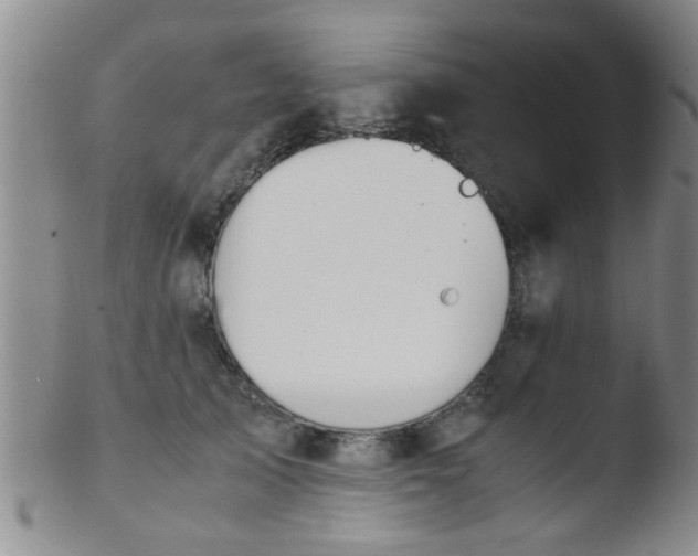 X0000103500705200809262014