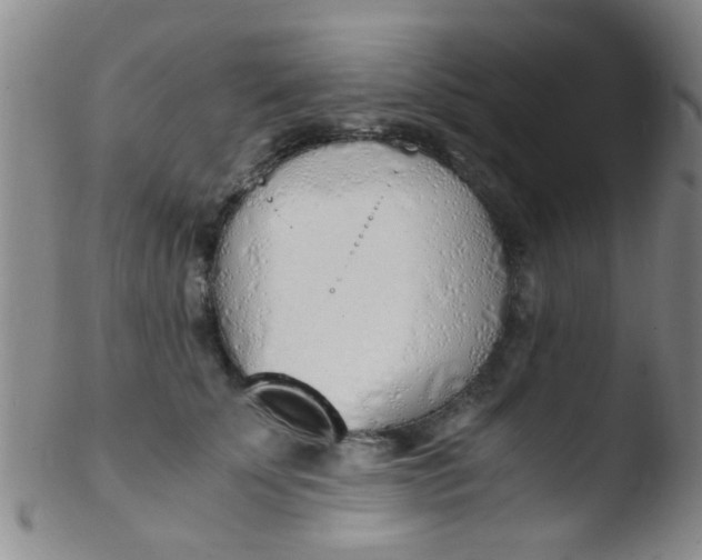 X0000103500707200809262014