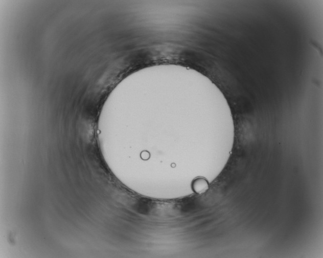 X0000103500709200809262013