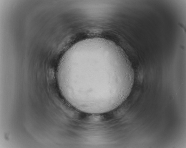 X0000103500711200809262013