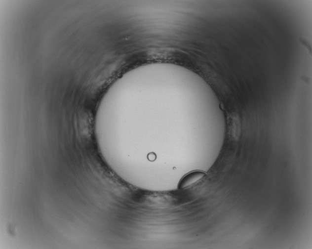 X0000103500712200809262013