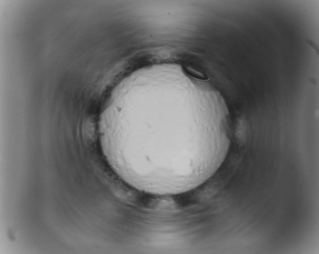 X0000103500715200809262013