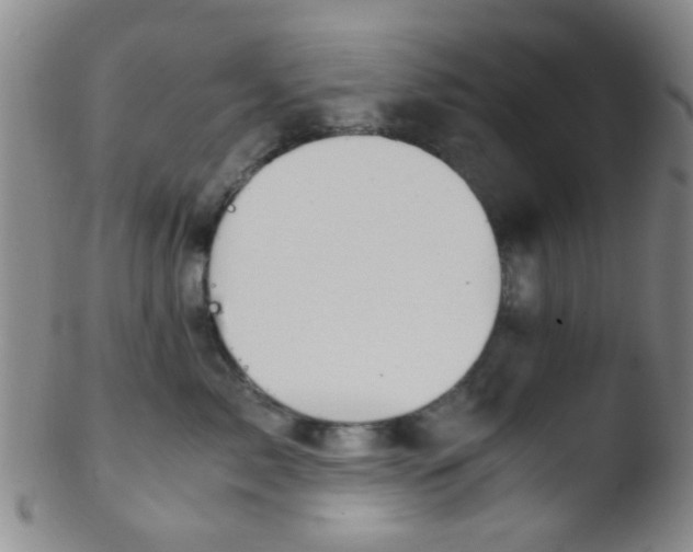 X0000103500717200809262013