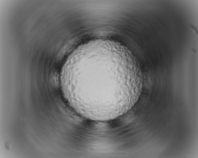 X0000103500718200809262013