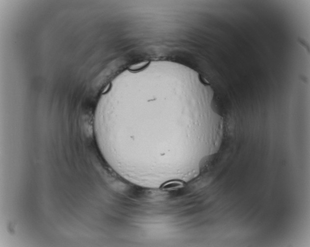 X0000103500719200809262013